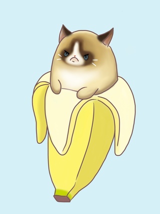 320x427 Grumpycat Drawings On Paigeeworld Pictures Of Grumpycat - Grumpy Cat Drawing