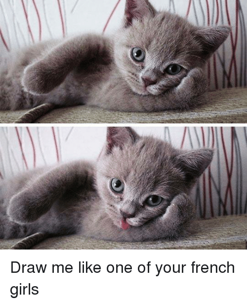 500x614 draw me like one of your french girls grumpy cat meme on me me - Grumpy Cat Drawing