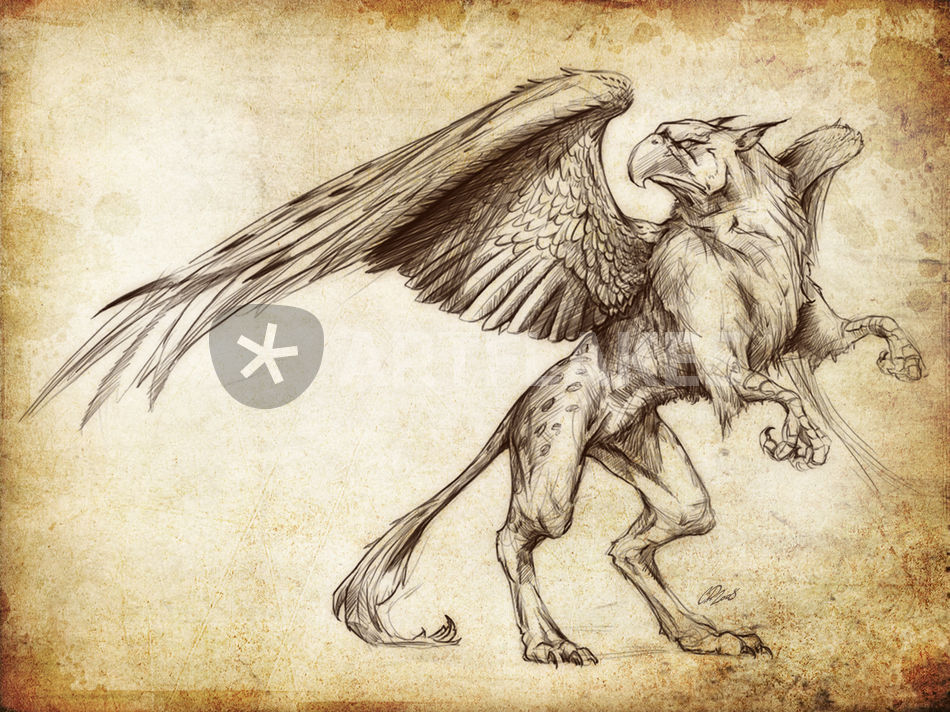 950x712 Fantasy Sketch - Gryphon Drawing