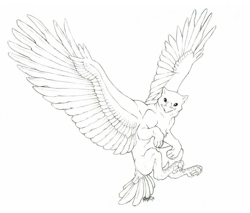 968x825 Gryphon Drawing - Gryphon Drawing