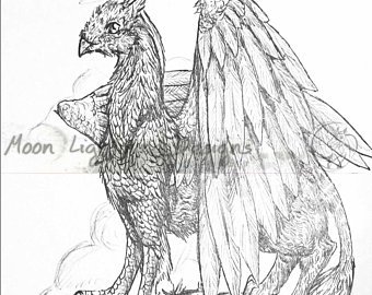 340x270 Gryphon Drawing Etsy - Gryphon Drawing