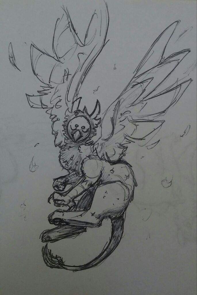 685x1024 Gryphon Drawing Furry Amino - Gryphon Drawing