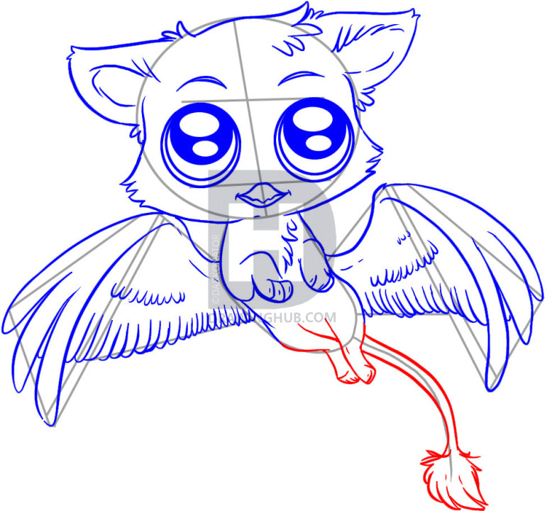 778x720 How To Draw A Chibi Gryphon, Step - Gryphon Drawing