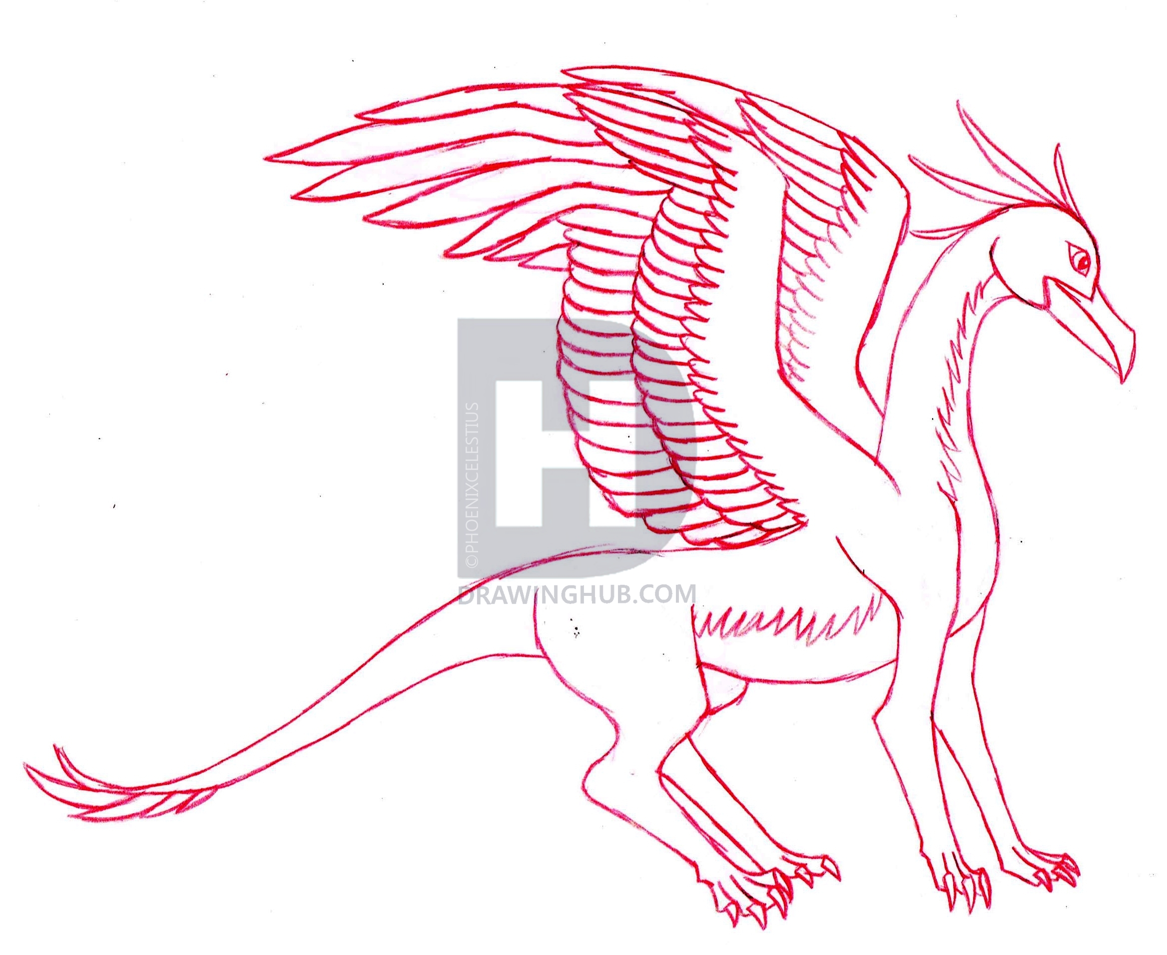 2336x1912 How To Draw A Gryphon, Step - Gryphon Drawing
