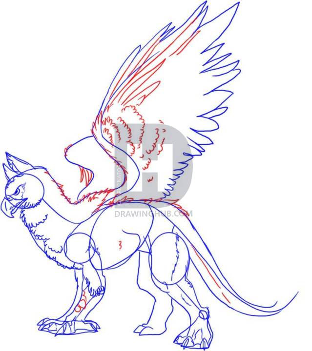 639x720 How To Draw A Gryphon, Step - Gryphon Drawing