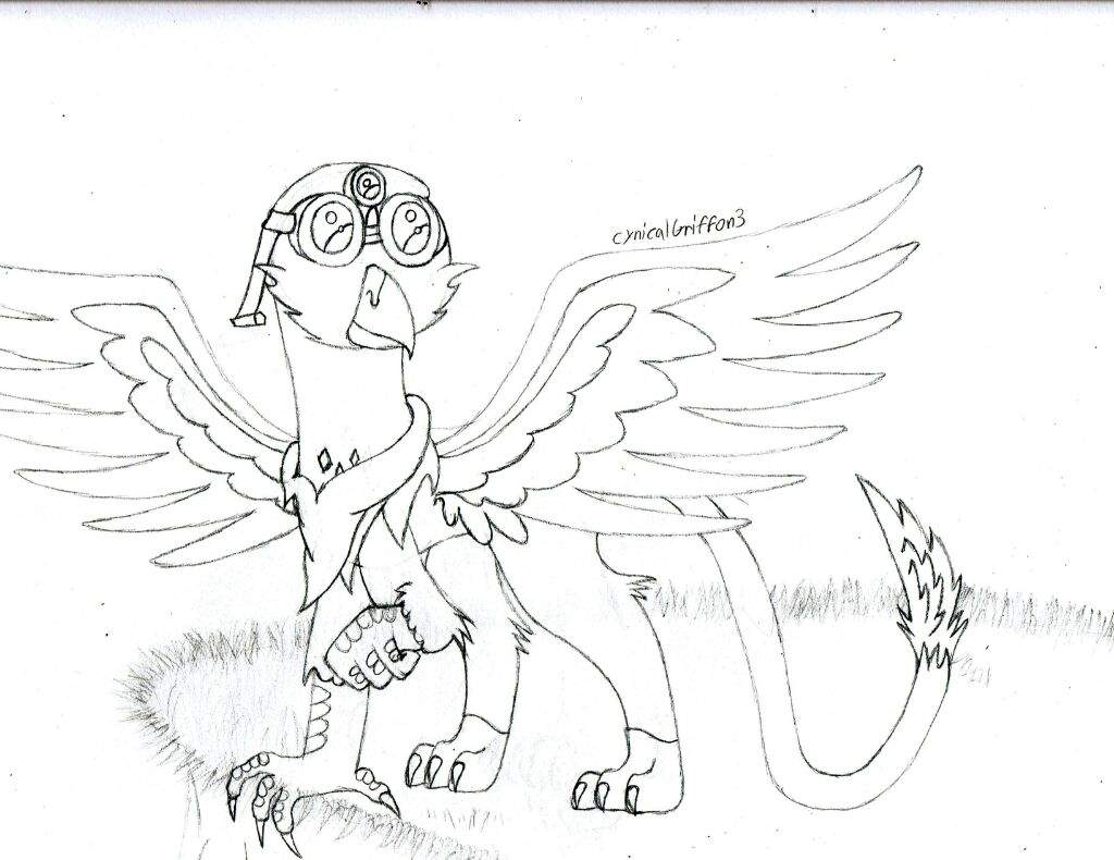 1024x790 Quick Gryphon Drawing Griffins Amino - Gryphon Drawing