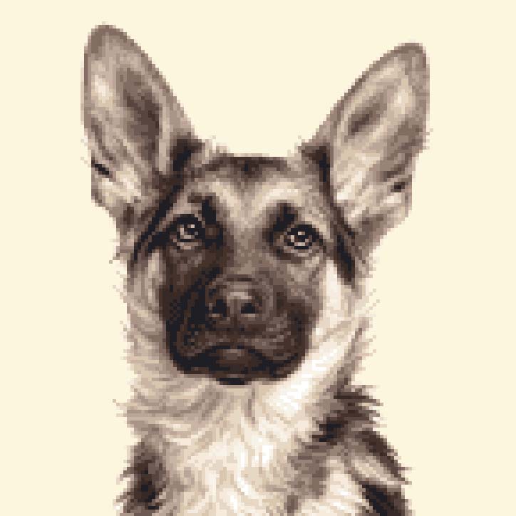 724x724 German Shepherd - Gsd Drawing