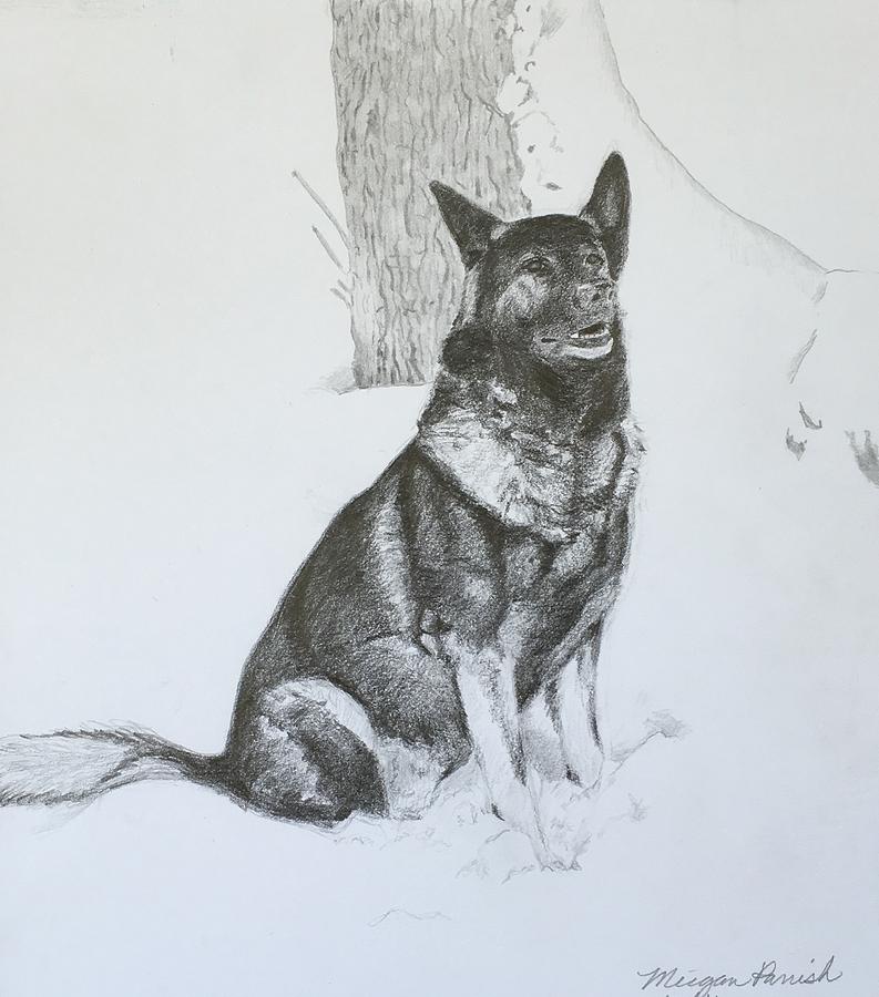 793x900 Grim The Gsd Drawing - Gsd Drawing