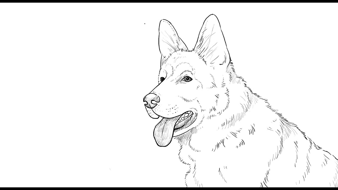 1280x720 How To Draw German Shepherd Dog - Gsd Drawing