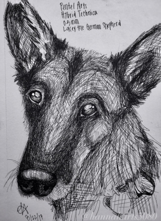 320x437 Gsd Drawings On Paigeeworld Pictures Of Gsd - Gsd Drawing