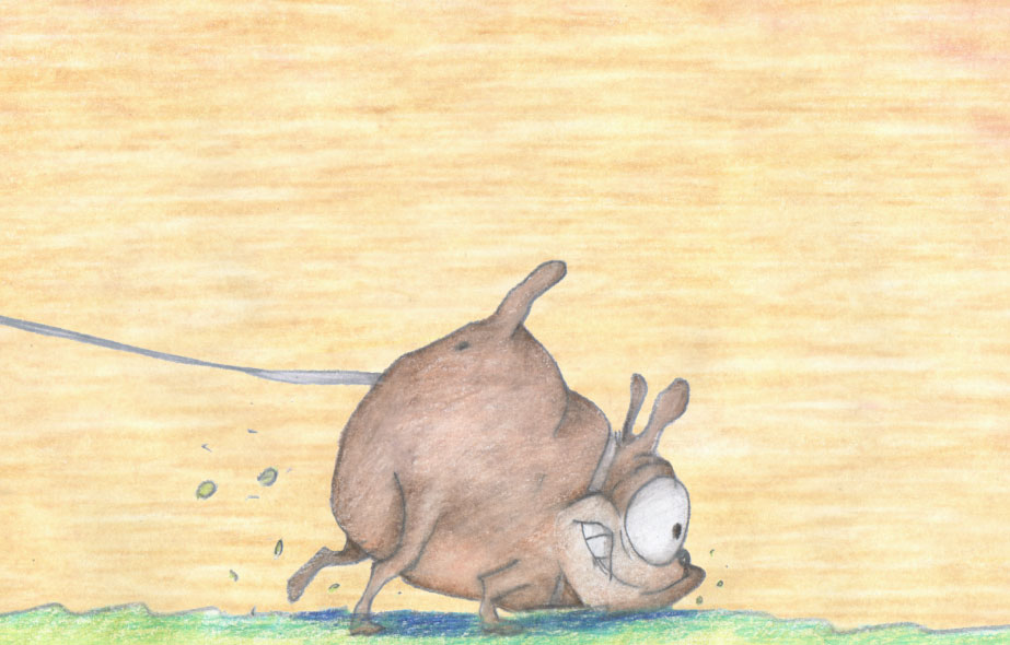 923x590 guard dog - Guard Dog Drawing