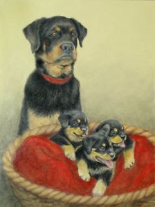 224x300 Original Pastel Drawing Rottwieler Dog Cute Puppies Sally Porter - Guard Dog Drawing