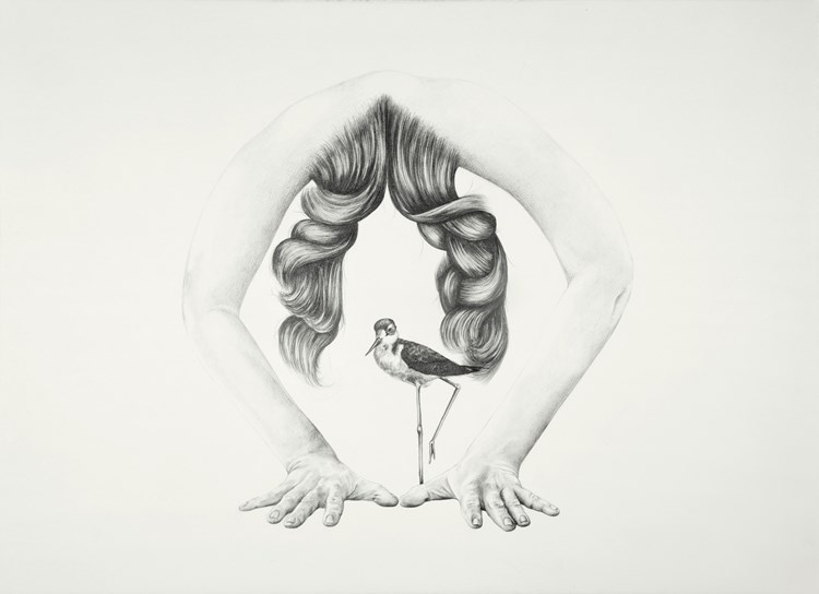 750x544 Guarded Entrance - Guarded Drawing