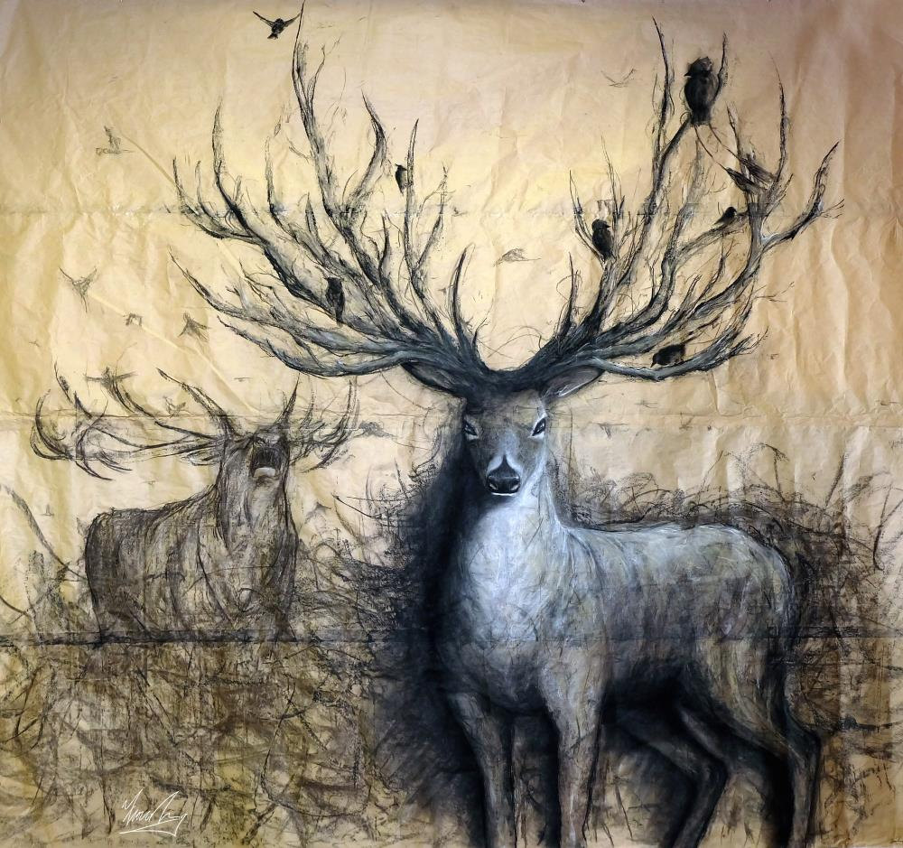 1000x939 the guardian - Guardian Drawing