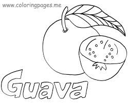 249x203 Guava Fruit Drawings - Guava Drawing