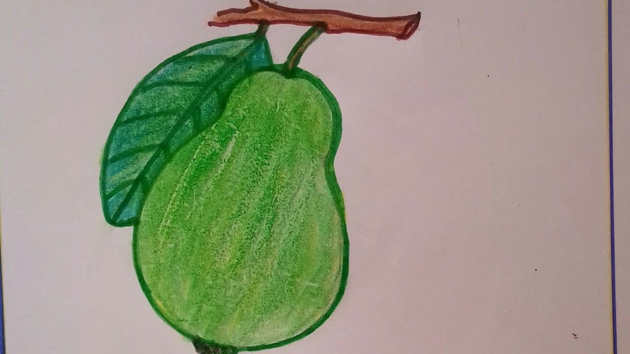 How To Draw A Guava. 