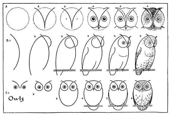 550x380 Grade Owl Drawing - Guided Drawing