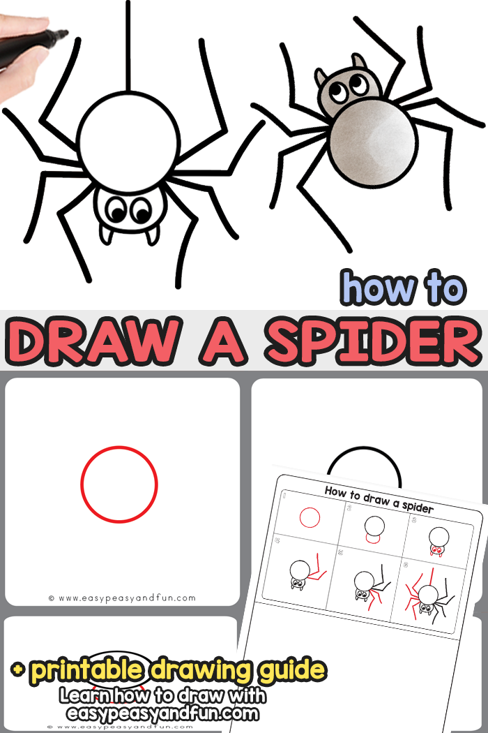 700x1050 How To Draw A Spider - Guided Drawing