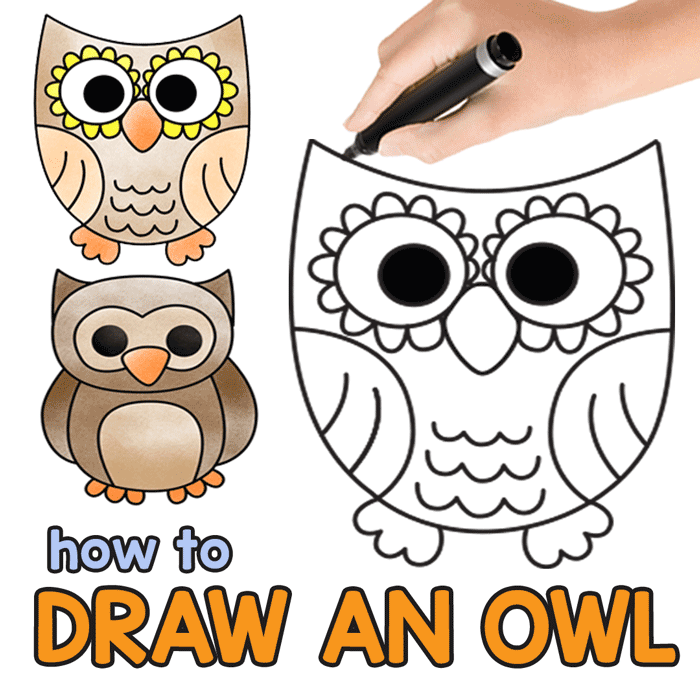 700x700 How To Draw An Owl - Guided Drawing