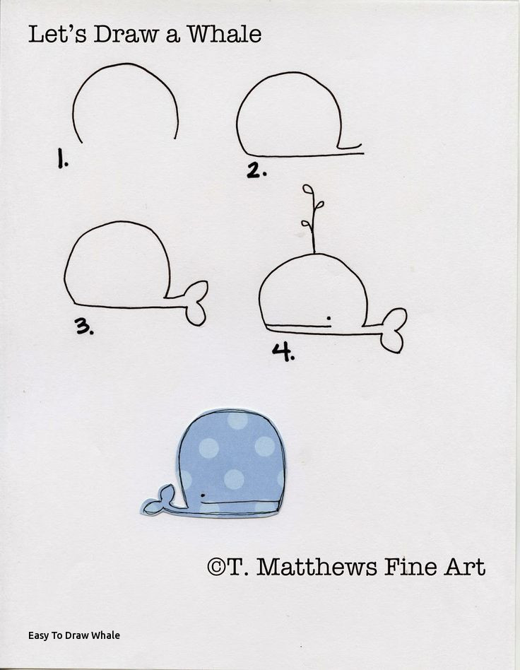 736x948 Easy To Draw Whale Best Guided Drawing Kindergarten Images - Guided Drawing