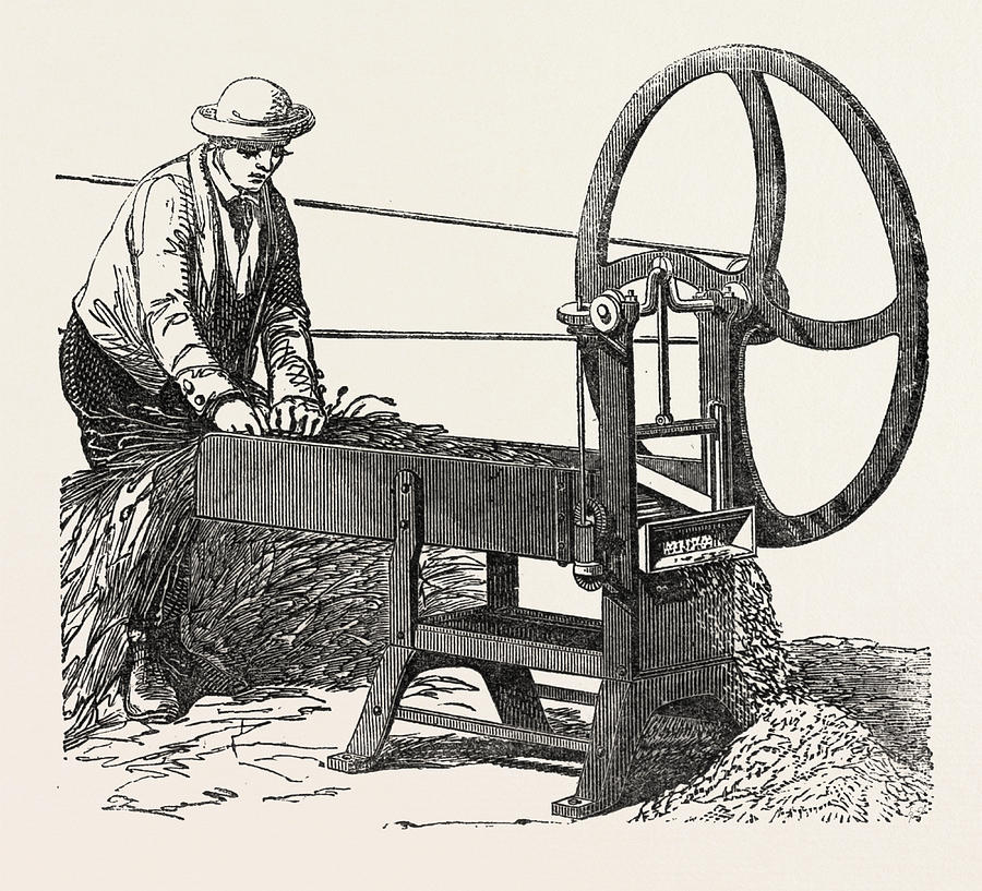 900x817 gilletts guillotine chaff cutter drawing - Guillotine Drawing