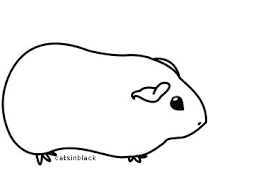 259x194 image result for guinea pig cartoon drawing guinea pig - Guinea Pig Cartoon Drawing