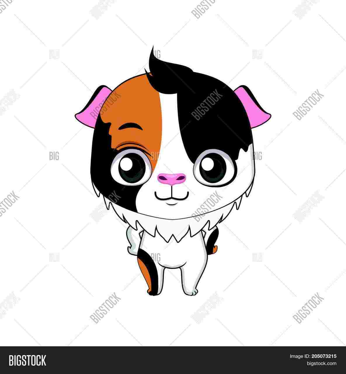 1185x1280 hub rhartforkidshubcom how guinea pig cartoon drawing to draw - Guinea Pig Cartoon Drawing