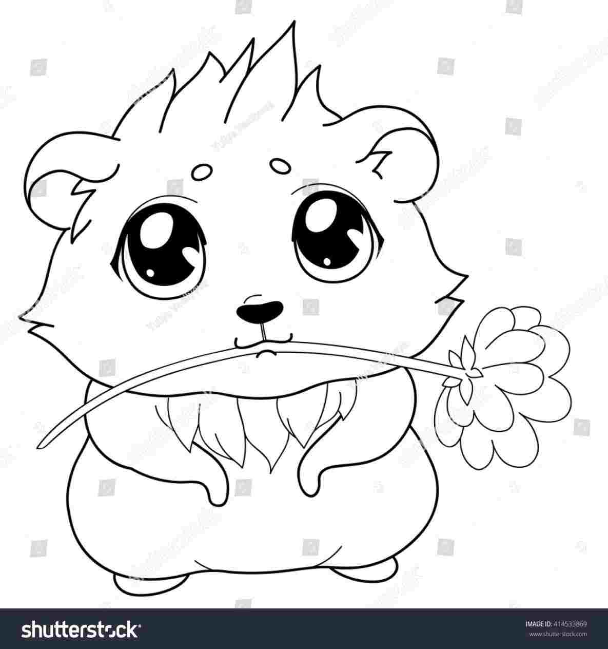 1185x1264 guinea pig cartoon drawing - Guinea Pig Cartoon Drawing