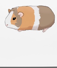 190x228 guinea pig drawing - Guinea Pig Drawing