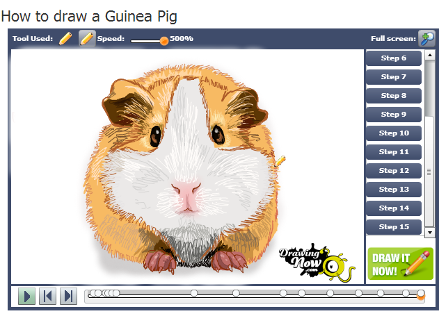 631x455 How To Draw Guinea Pigs Fluffy Piggies - Guinea Pig Drawing
