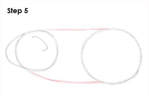 500x348 how to draw a guinea pig - Guinea Pig Drawing