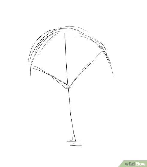 490x559 how to draw a gum tree steps - Gum Drawing