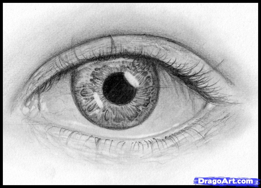 915x658 vietnam architecture how to sketch eyes step - Guy Eyes Drawing