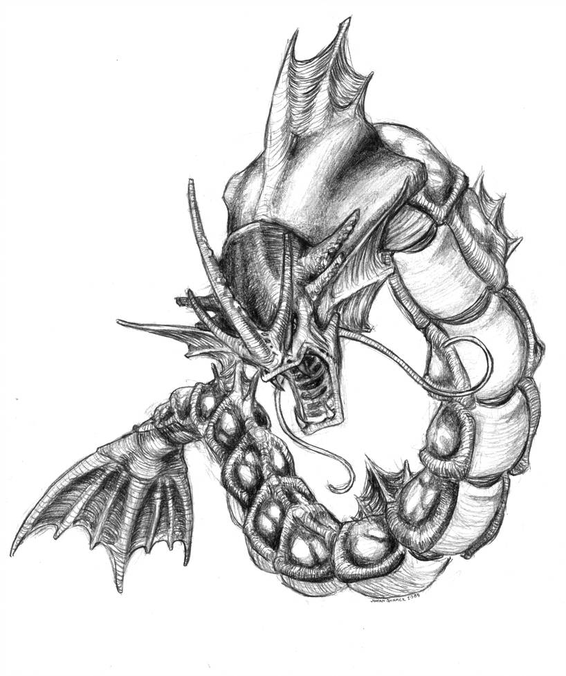 818x977 Gyarados - Gyarados Drawing