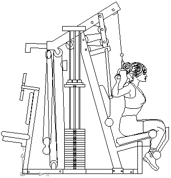 341x355 autocad drawing young woman on upper back exercise machine gym dwg dxf - Gym Drawing