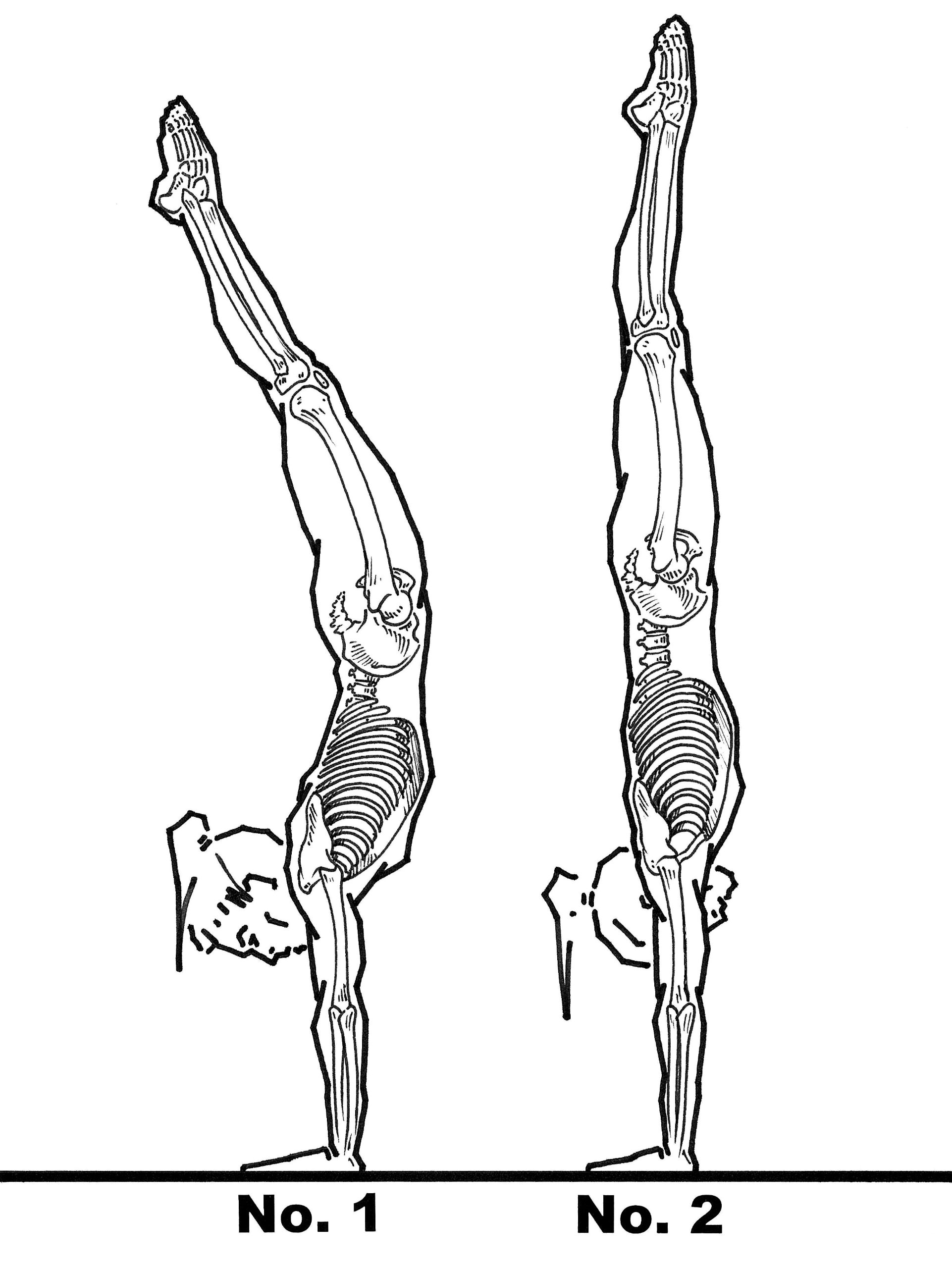 1922x2560 championship gymnastics biomechanical techniques for shaping - Gymnastics Drawings