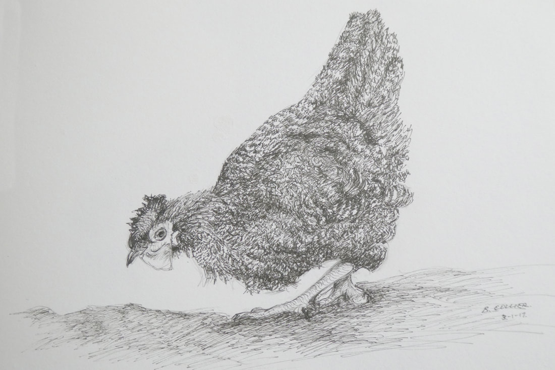 1100x733 Drawingspaintings - H Drawing