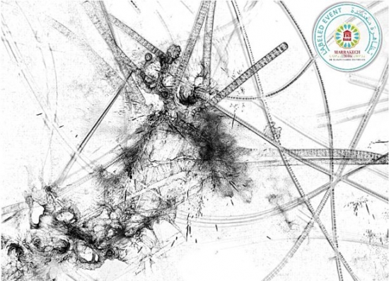 550x397 drawing and microscopy, a reciprocal pollination - H2o Drawing