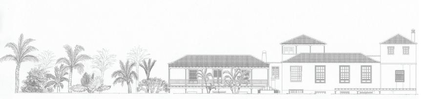 862x203 some drawings landscaping, botany and sustainable growing - Hacienda Drawing