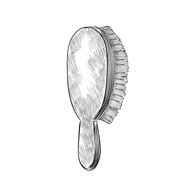 626x626 Vintage Illustration Of A Hair Brush Vector Free Download - Hair Brush Drawing