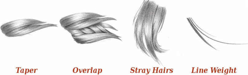 809x247 How To Draw Realistic Hair The Ultimate Tutorial Rapidfireart - Hair Drawing Tutorial