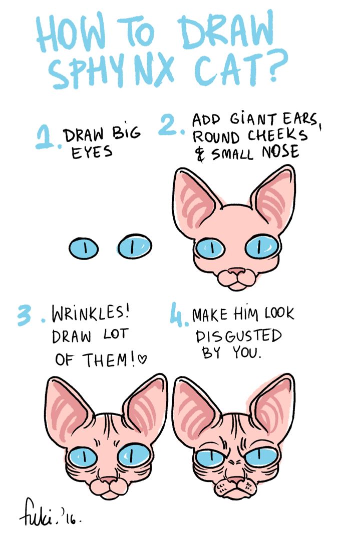 693x1084 how to draw sphynx cat - Hairless Cat Drawing