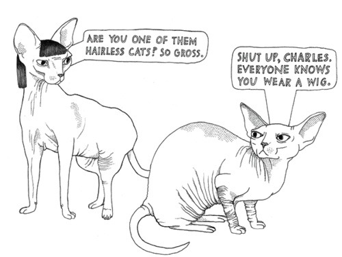 500x375 lol drawing black and white cats grunge gross pale sphinx cat - Hairless Cat Drawing