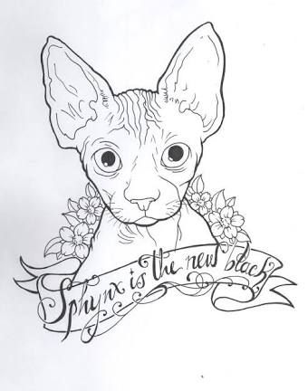 340x432 resultado de imagen para sphynx cat draw artsy} cat tattoo - Hairless Cat Drawing