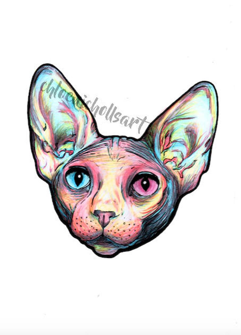 794x1104 sphynx cat illustration kitten kitty drawing poster etsy - Hairless Cat Drawing