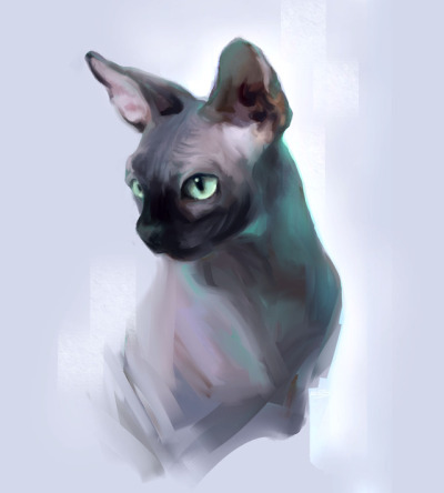 400x444 sphynx cat drawing tumblr - Hairless Cat Drawing