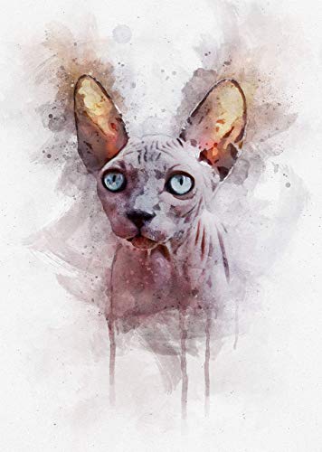 356x500 sphynx cat watercolor art print available in various - Hairless Cat Drawing