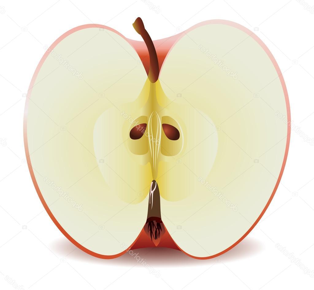 Симметричное яблоко в разрезе