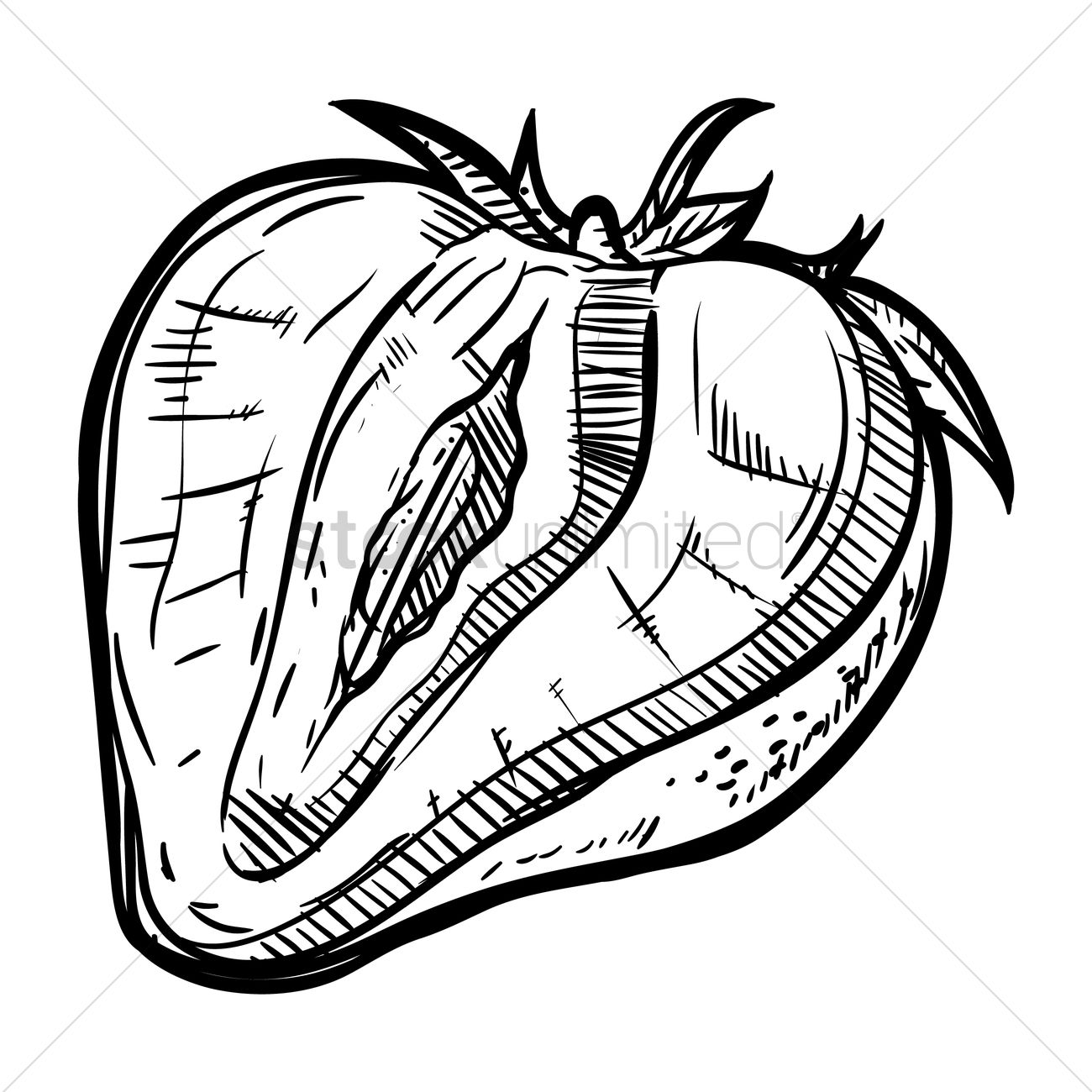 1300x1300 Half Apple Drawing - Half Apple Drawing