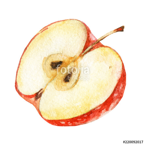 500x500 Half Apple Picture And Painted With Watercolor Stock Photo - Half Apple Drawing